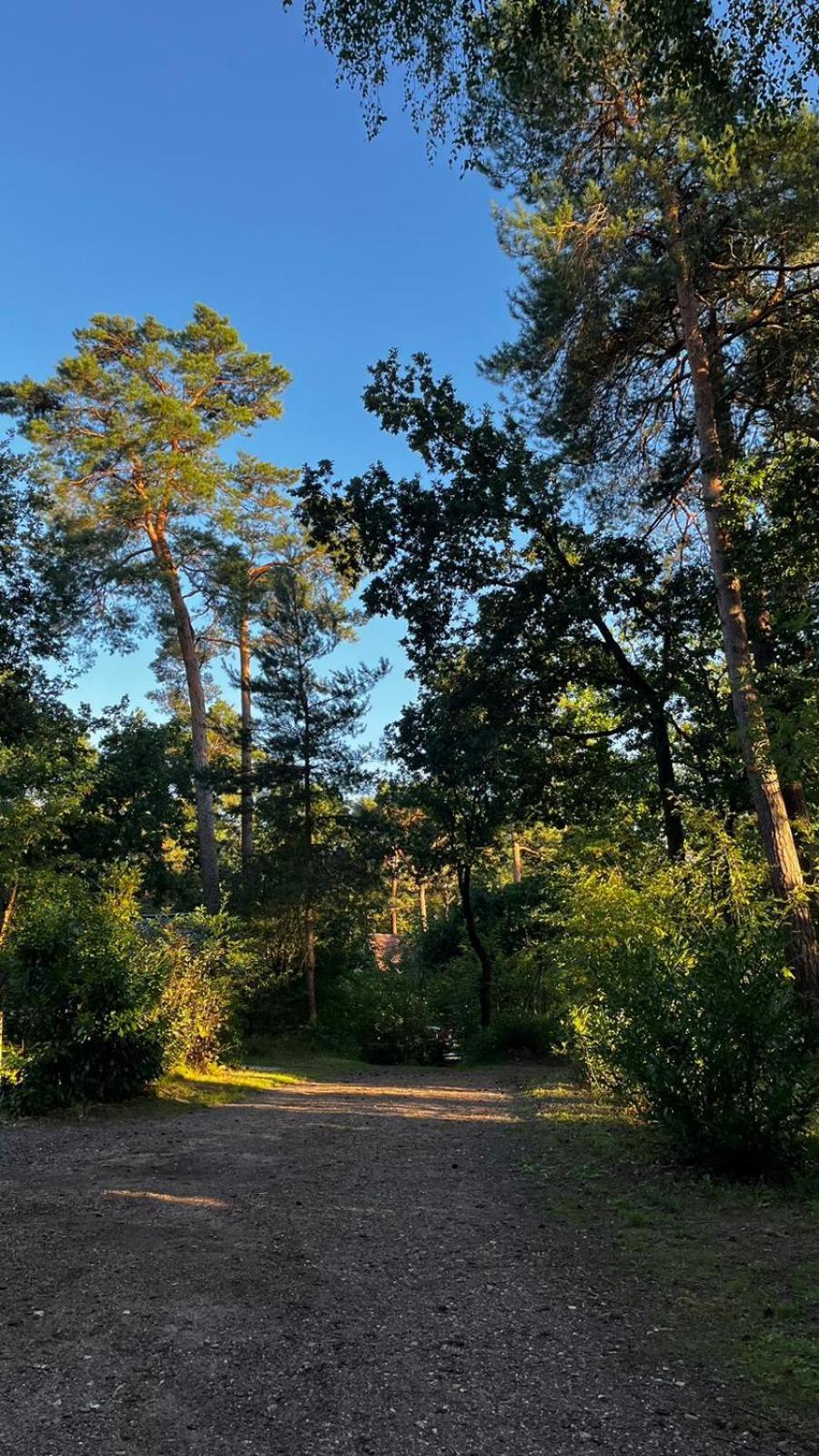Vakantiehuis Vliegend Hert Veluwe Nunspeet Exterior foto